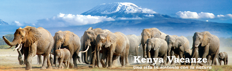 Vacanze e Turismo in Kenya