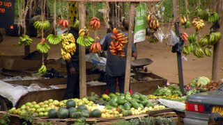 Frutta del Kenya-Cibi e bevande