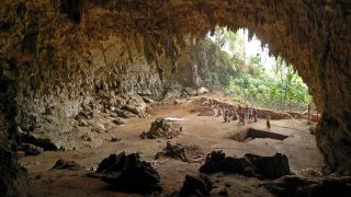 Grotta Kitum-Riserva Nazionale Monte Elgon Kenya