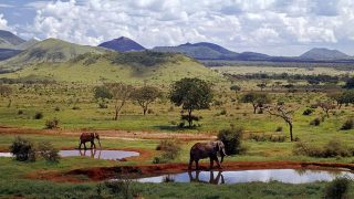 Parchi Nazionali e Riserve del Kenya