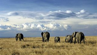 Clima e Geomorfologia del Kenya